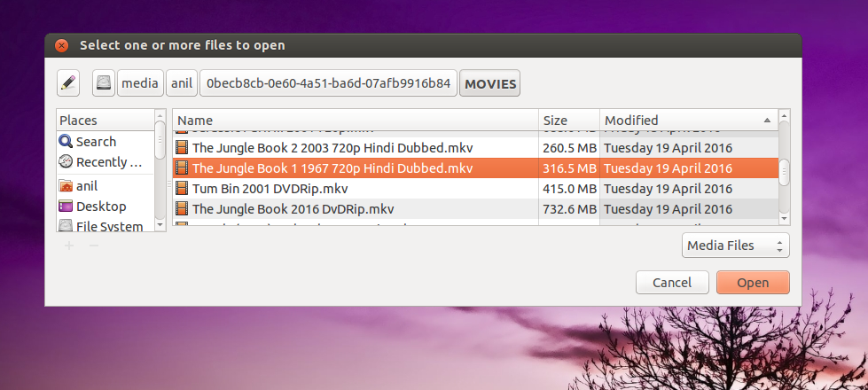 To select one or more files to open VLC.png