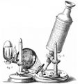 Robert-Hookes-microscope-287x300.jpg