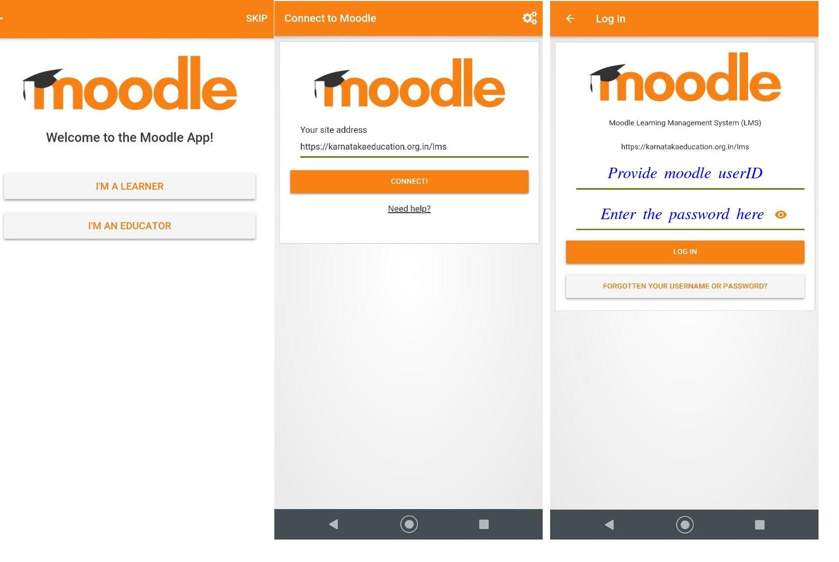 Moodle формат файла для загрузки пользователей