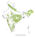 Indian Forest Cover.png