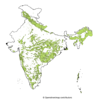 Indian Forest Cover