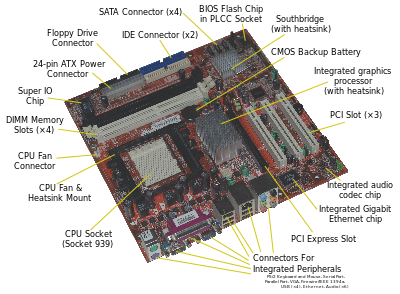 Motherboard, where all the digital circuits are wired
