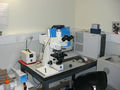 Microscope And Digital Cameralowres.JPG
