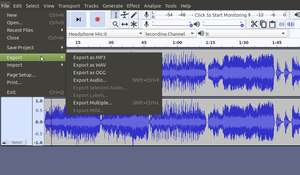 Audacity Exporting options.png