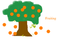 COL - Simple animation using Tux Paint - Tree with leaves and fruits.png