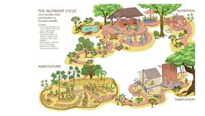 Soil cycle.png