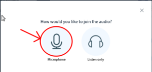 BBB selection of microphone option.png