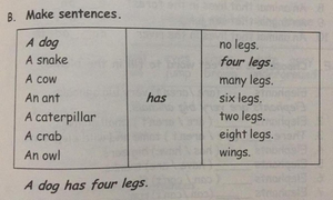 Sentence table.png